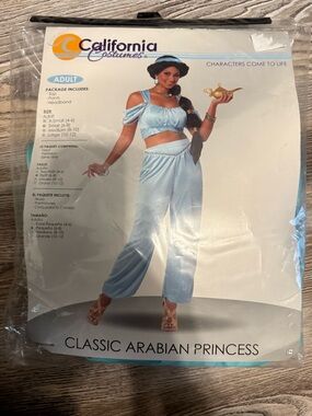 California Costumes Light Blue Classic Arabian Princess Cropped Pants